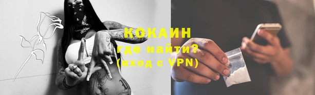 гидропоника Белокуриха