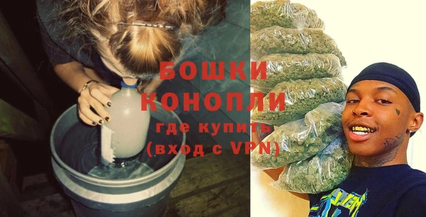 ГАЛЛЮЦИНОГЕННЫЕ ГРИБЫ Белоозёрский