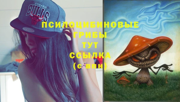 ГАЛЛЮЦИНОГЕННЫЕ ГРИБЫ Белоозёрский