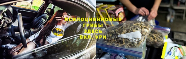 крисы Беломорск