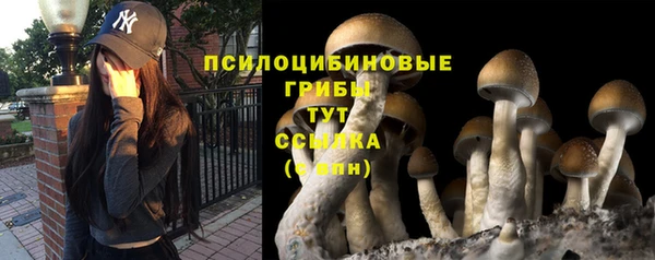 ГАЛЛЮЦИНОГЕННЫЕ ГРИБЫ Белоозёрский